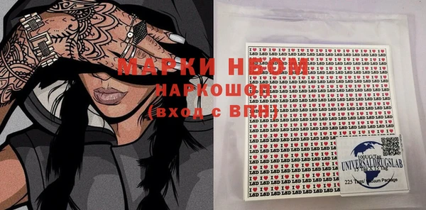 дживик Новозыбков