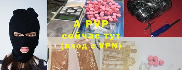ПСИЛОЦИБИНОВЫЕ ГРИБЫ Няндома