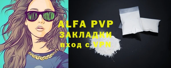 дживик Новозыбков