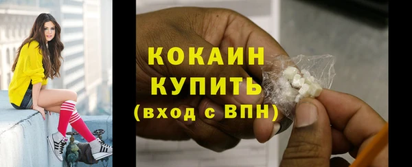 дживик Новозыбков