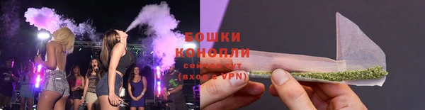 дживик Нягань