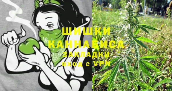 дурь Новодвинск