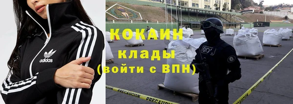 ПСИЛОЦИБИНОВЫЕ ГРИБЫ Няндома