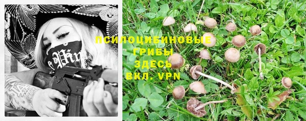 2c-b Новокубанск