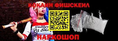 стафф Гатчина