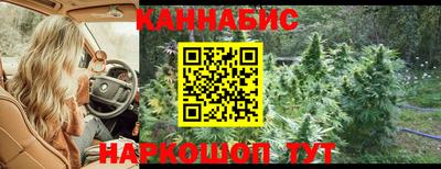 стафф Гатчина