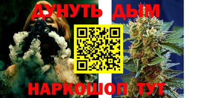 стафф Гатчина