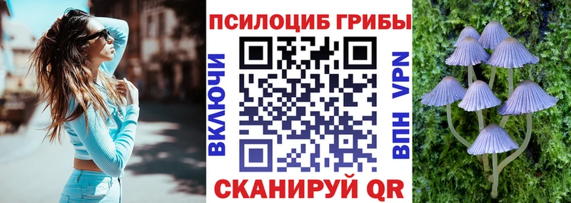 Галлюциногенные грибы GOLDEN TEACHER  купить закладку  mega tor  Кандалакша 