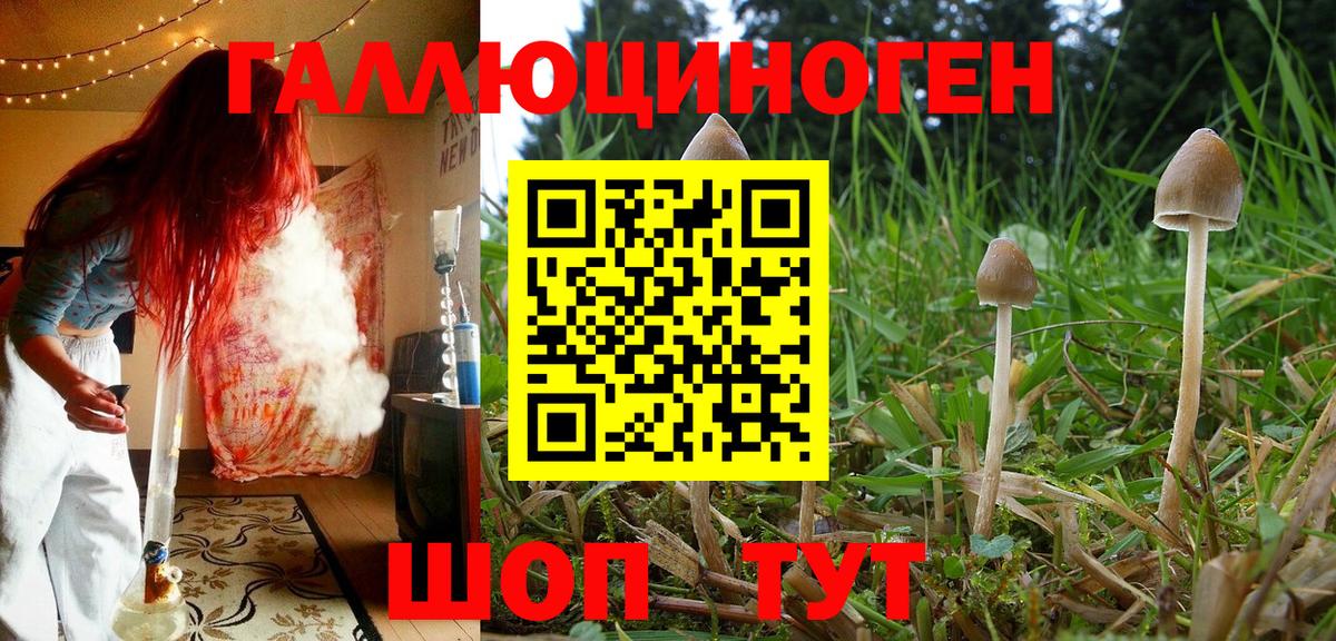 Кандалакша  Псилоцибиновые грибы GOLDEN TEACHER  Вход с VPN 