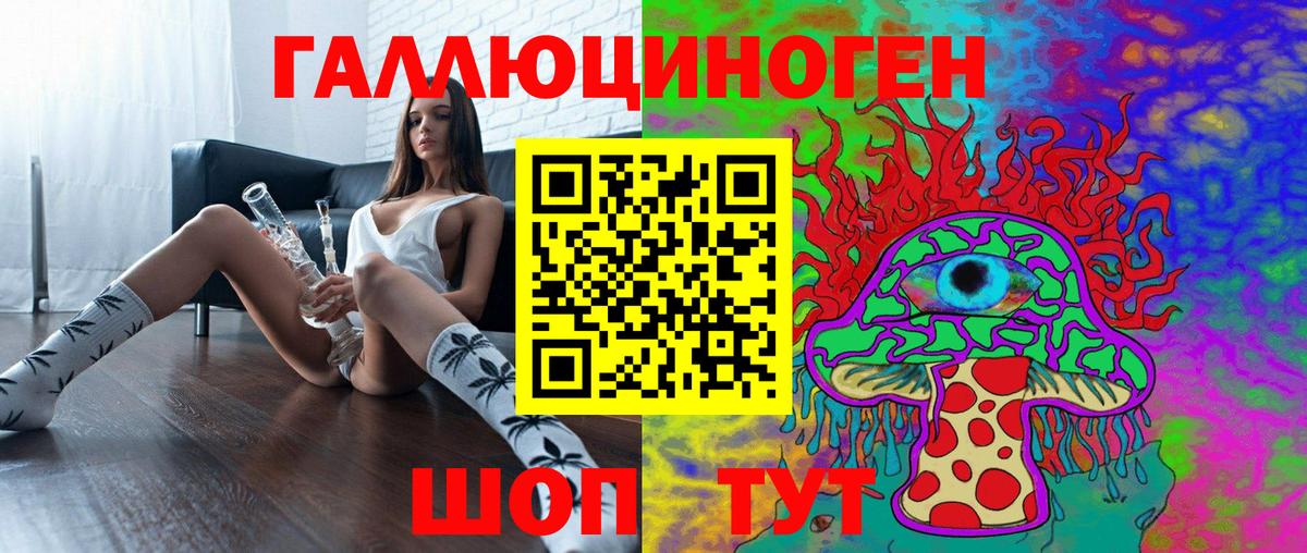 Галлюциногенные грибы прущие грибы Кандалакша